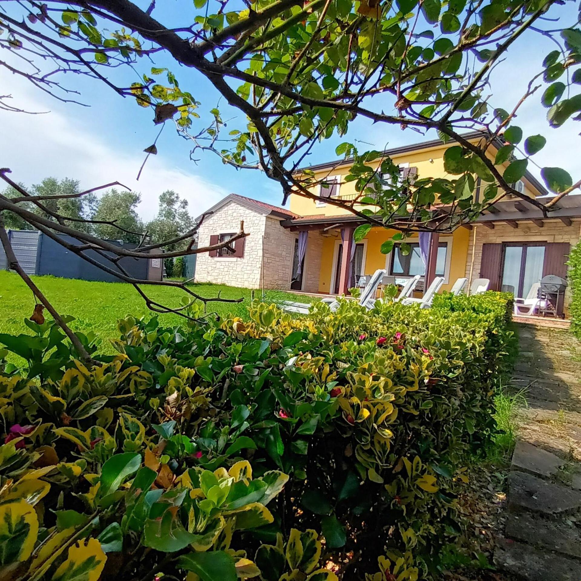House Dolly Villa *